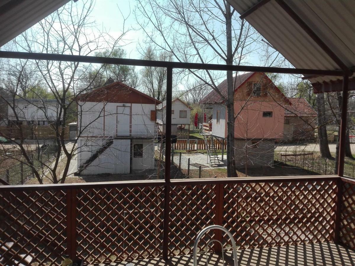 Villa Viziszony Tisza Nyaralo Mindszent Exterior foto